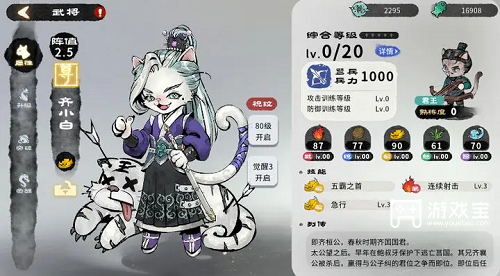 《猫话列国：多种阵容搭配攻略助你称霸游戏》 