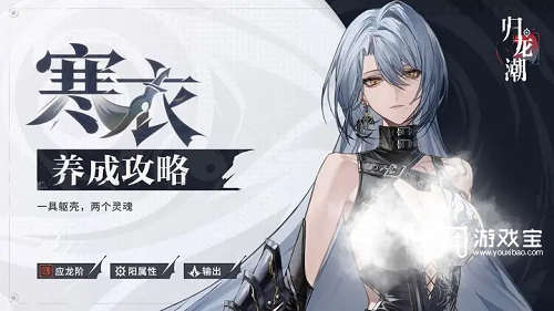 《归龙潮寒衣经典配队攻略：实战技巧与策略》 